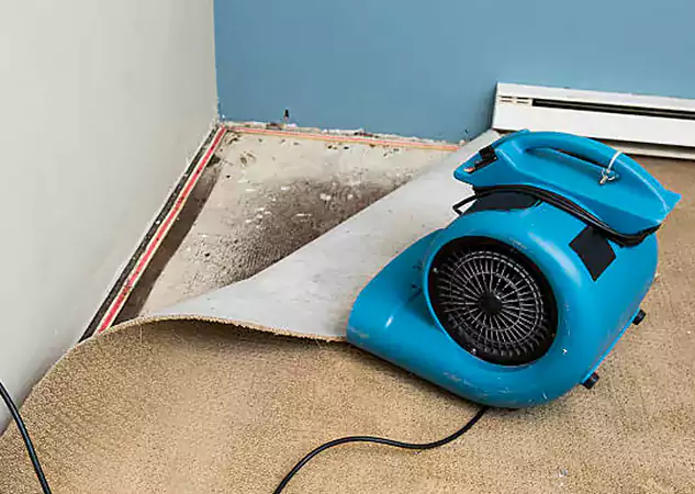 Your Water Damage Experts in Buford, GA