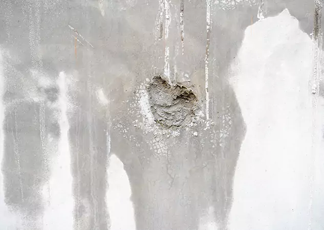 Your Mold Mitigation Solutions Partner in Buford, GA