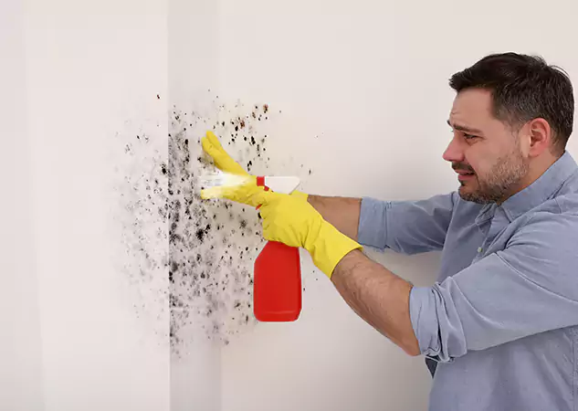 Your Water Mold Fire Restoration Partner in Buford, GA