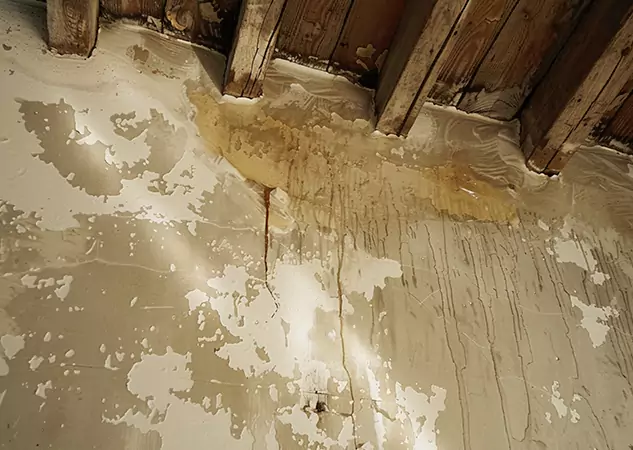 Your Trusted Restoration Company in Buford, GA