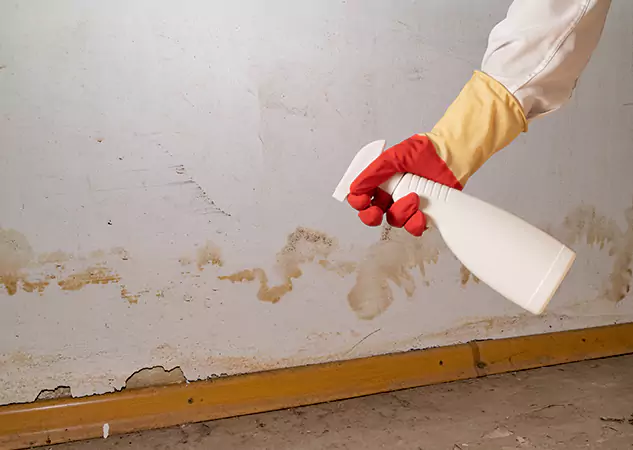 Your Water Restoration and Mold Remediation Specialists in Buford, GA