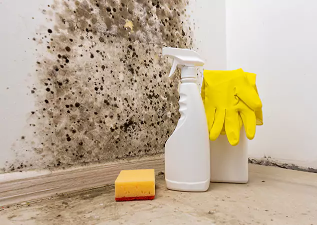 Your Reliable Restoration Company in Buford, GA