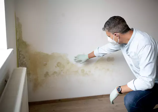 Reach Our Remediation Team Before Damage Grows in Buford, GA!
