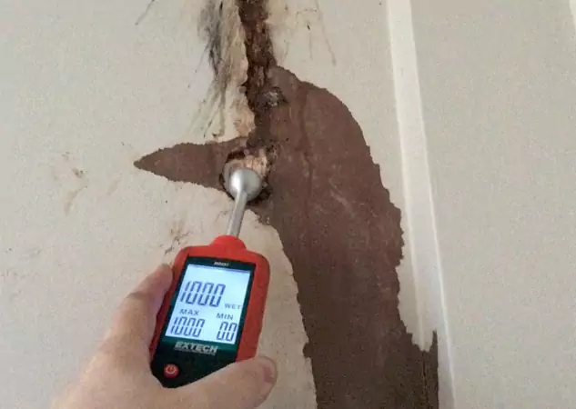 Your Water Damage Assessment Partner in Buford, GA