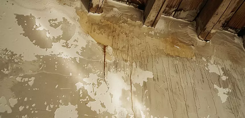 Professional Attic Water Damage Repair Services in Buford, GA