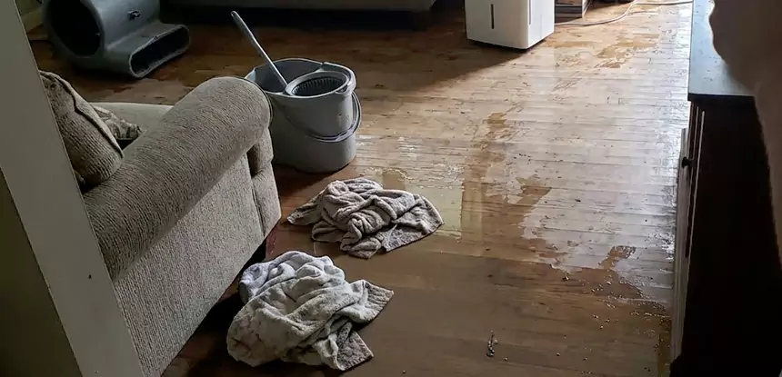 Professional Basement Water Remediation Services in Buford, GA