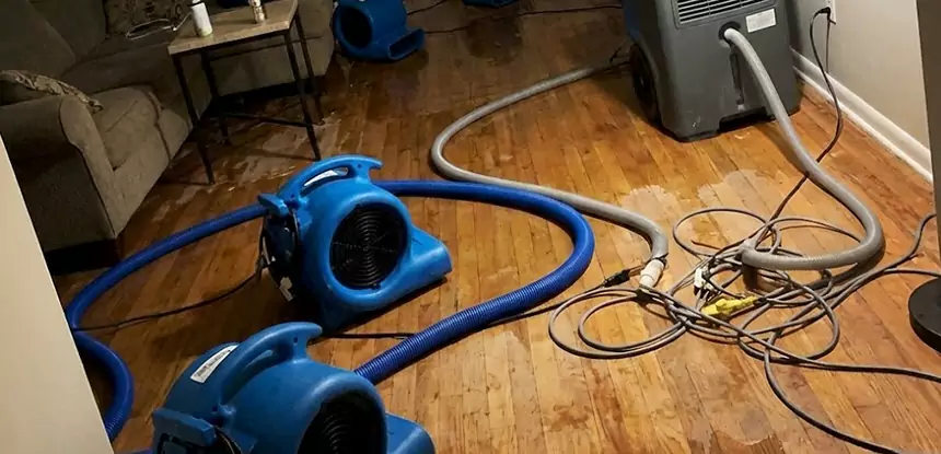 Basement Flood Restoration Services in Buford
