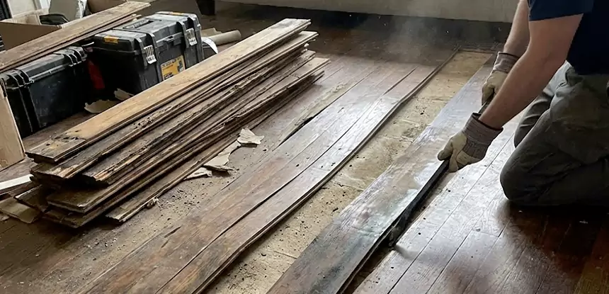 Wood Rot and Fungus Repair in Buford