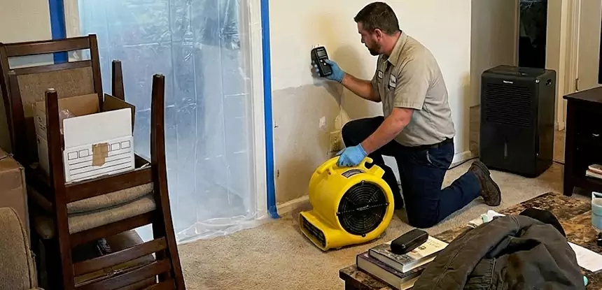 Carpet Water Damage Repair Buford