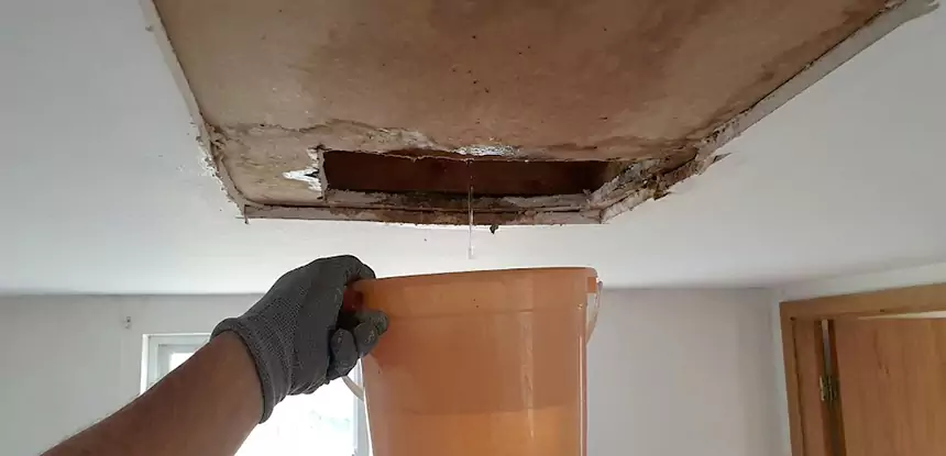 Ceiling Mold Repair Buford 
