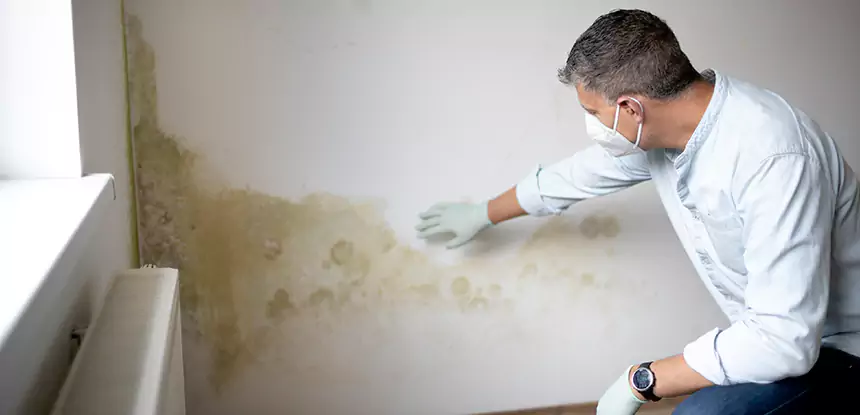 Mold and Water Damage Repair in Buford