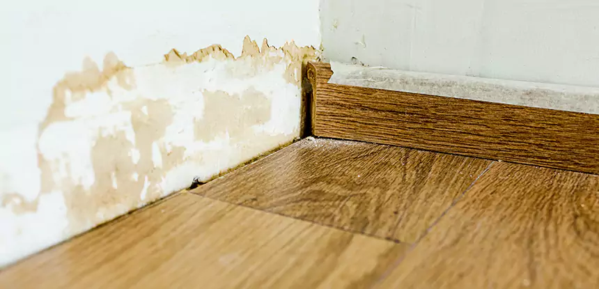 Professional Fix Water Damaged Wood Services in Buford, GA