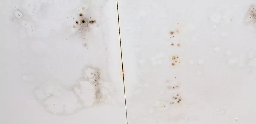 Professional Water Stain Repair Services in Buford, GA
