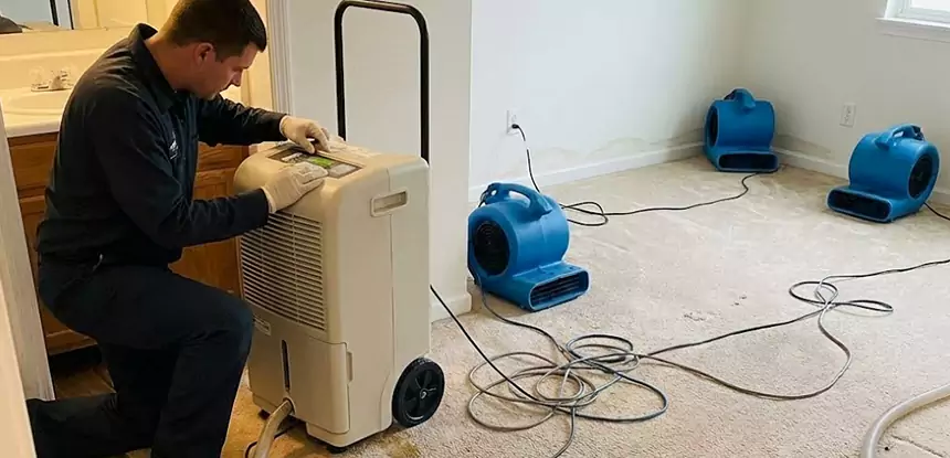 Professional Wet Carpet Removal Services in Buford, GA