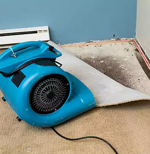 Why Buford Trusts Buford Restoration Pro for Carpet Flood Recovery?