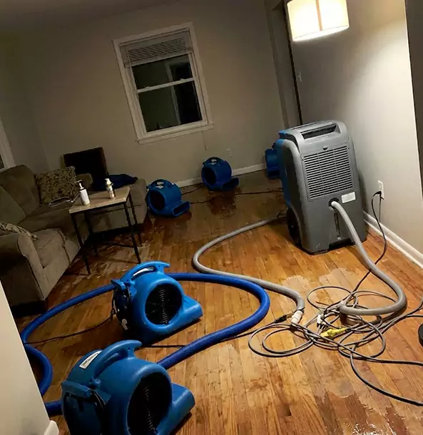 Why Buford Property Owners Rely on Buford Restoration Pro for Remediation?