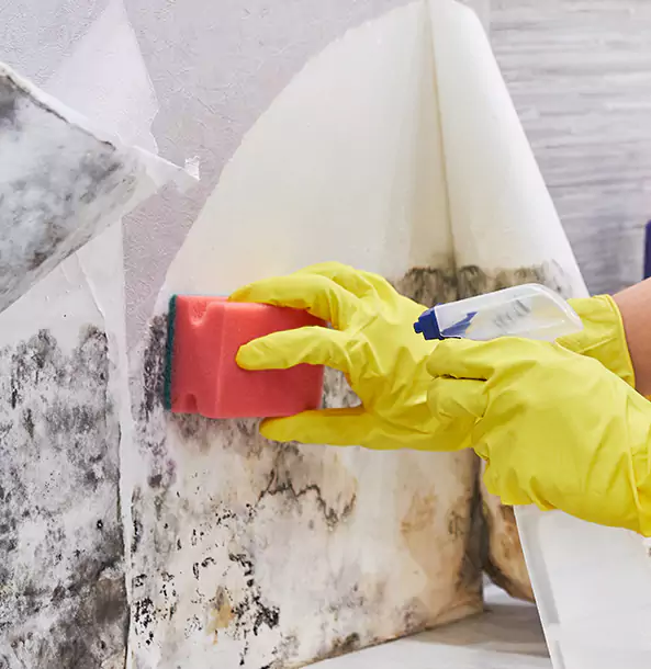 Why Buford Trusts Buford Restoration Pro for Mold and Water Restoration?