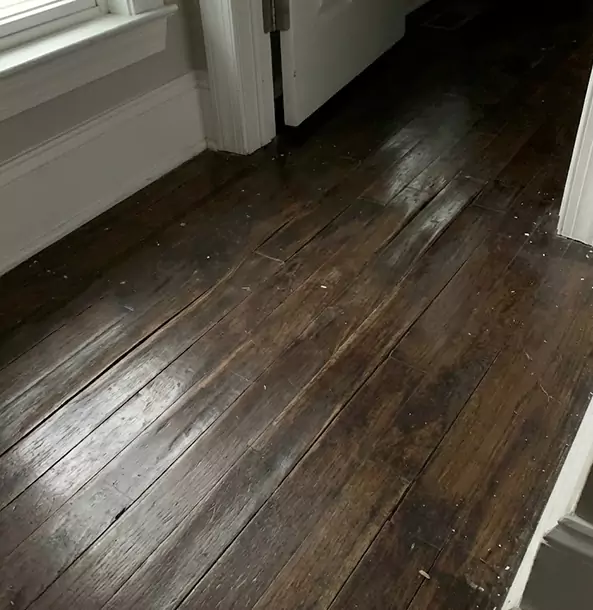 Why Buford Homeowners Trust Buford Restoration Pro to Fix Water Damaged Wood?