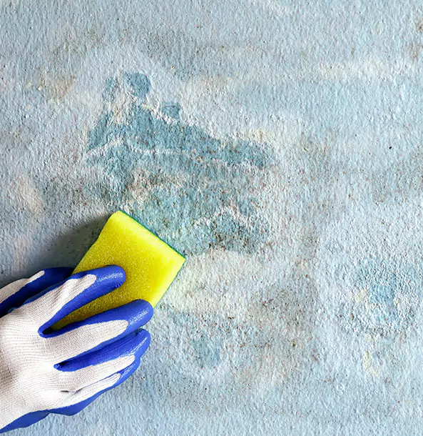 Why Buford Restoration Pro Is the Right Choice in Buford, GA?