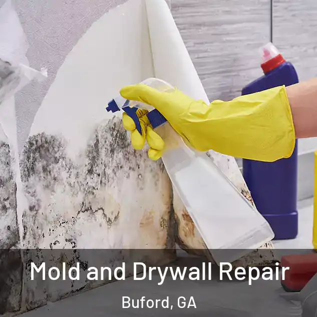  Mold and Drywall Repair Buford, GA