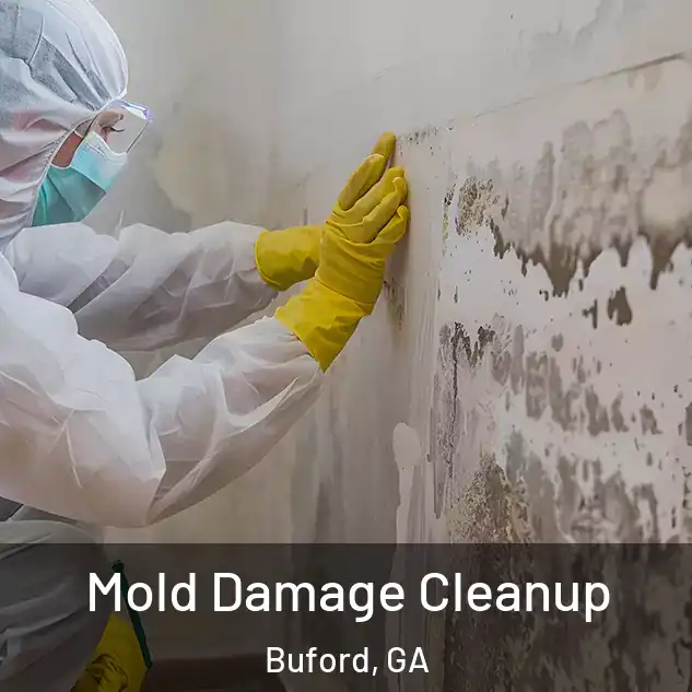  Mold Damage Cleanup Buford, GA