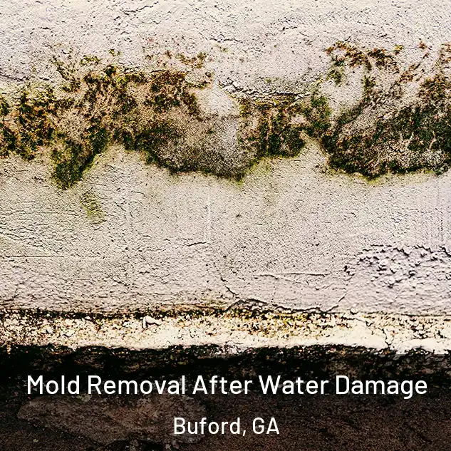  Mold Removal After Water Damage Buford, GA