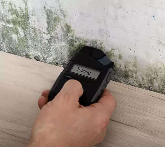 Mold Remediation Service Buford